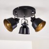 Ceiling Light Safari black, 3-light sources