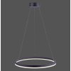 Paul Neuhaus TITUS Pendant Light LED anthracite, 1-light source