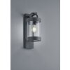 Trio Leuchten SAMBESI Outdoor Wall Light anthracite, 1-light source