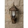 Rabalux Nizza outdoor wall light gold, brass, transparent, clear