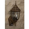 Rabalux Nizza outdoor wall light gold, brass, transparent, clear