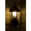 Rabalux Nizza outdoor wall light gold, brass, transparent, clear