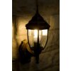 Rabalux Nizza outdoor wall light gold, brass, transparent, clear