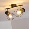 Bacau Ceiling Light black, 2-light sources