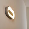 Outdoor Wall Light Felsted LED silver, 1-light source