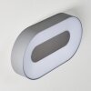 Outdoor Wall Light Felsted LED silver, 1-light source