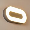 Outdoor Wall Light Felsted LED silver, 1-light source