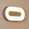 Outdoor Wall Light Felsted LED silver, 1-light source