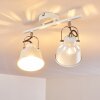 Ceiling Light Safari white, 2-light sources