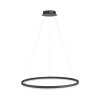 Paul Neuhaus TITUS Pendant Light LED anthracite, 1-light source