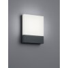 Trio PECOS Outdoor Wall Light LED anthracite, 1-light source
