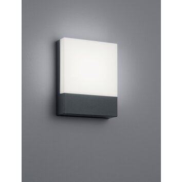 Trio PECOS Outdoor Wall Light LED anthracite, 1-light source