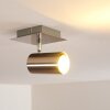 ZUOZ Ceiling Light matt nickel, 1-light source