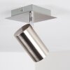 ZUOZ Ceiling Light matt nickel, 1-light source