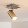 ZUOZ Ceiling Light matt nickel, 1-light source