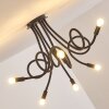 WERTACH Ceiling Light black, 6-light sources
