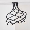 WERTACH Ceiling Light black, 6-light sources