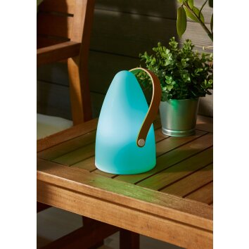 Reality HAITI Outdoor Light LED white, 1-light source, Colour changer