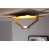Elesi Luce ceiling light LED gold, 1-light source