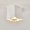 Ceiling Light Curacao white, 1-light source