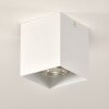 Ceiling Light Curacao white, 1-light source