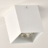 Ceiling Light Curacao white, 1-light source