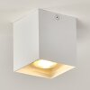 Ceiling Light Curacao white, 1-light source