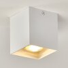 Ceiling Light Curacao white, 1-light source