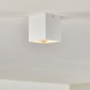 Ceiling Light Curacao white, 1-light source
