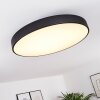 PLOVDIV Ceiling Light LED white, 1-light source, Remote control