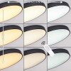 PLOVDIV Ceiling Light LED white, 1-light source, Remote control