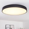 PLOVDIV Ceiling Light LED white, 1-light source, Remote control