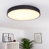 PLOVDIV Ceiling Light LED white, 1-light source, Remote control