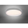 Reality ZETA Ceiling Light LED grey, 1-light source, Remote control