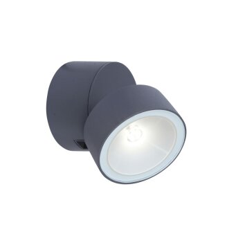 Lutec TRUMPET Outdoor Wall Light LED anthracite, 1-light source