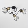 Bacau Ceiling Light black, 3-light sources