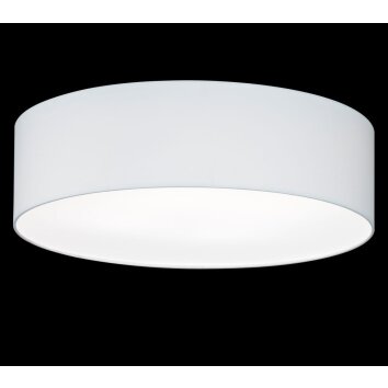 Honsel Maat Ceiling Light white, 4-light sources