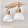 Orny Ceiling Light white, 2-light sources