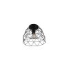 Reality HAVAL Ceiling Light black, 1-light source