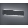 Outdoor Wall Light Trio Leuchten THAMES II LED anthracite, 2-light sources