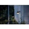 Philips CORMORANT Outdoor Wall Light black, 1-light source