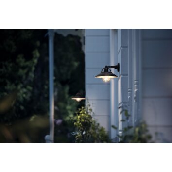 Philips CORMORANT Outdoor Wall Light black, 1-light source