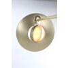 Steinhauer ZENITH Floor Lamp LED brass, 2-light sources