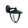 Philips ROBIN Outdoor Wall Light LED black, 1-light source