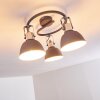 DOMPIERRE Ceiling light grey, white, 3-light sources