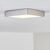 Broglen Ceiling Light matt nickel, 1-light source