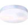 Globo VRANOS ceiling light stainless steel, silver, white, 2-light sources