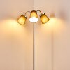 Ascona Floor Lamp matt nickel, 3-light sources