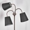 Ascona Floor Lamp matt nickel, 3-light sources