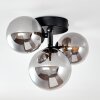 Chariton Ceiling Light black, 3-light sources